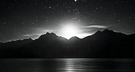 black and white bed linen