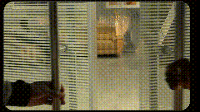 black and white bed linen