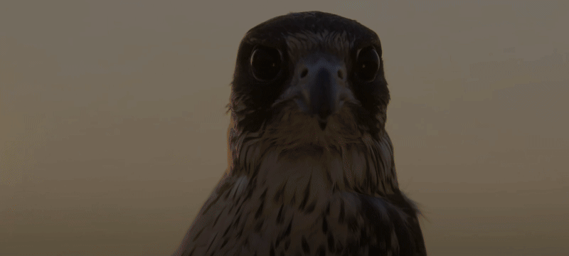 an abstract photo of a curved building with a blue sky in the background