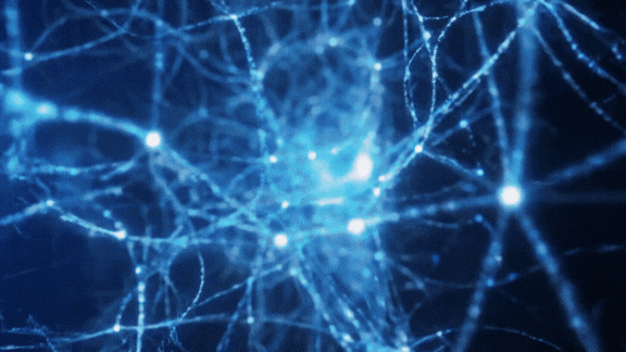 black blue and yellow textile