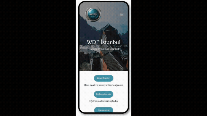Responsive mobile website design for WDP Istanbul showing scrolling UI and navigation.