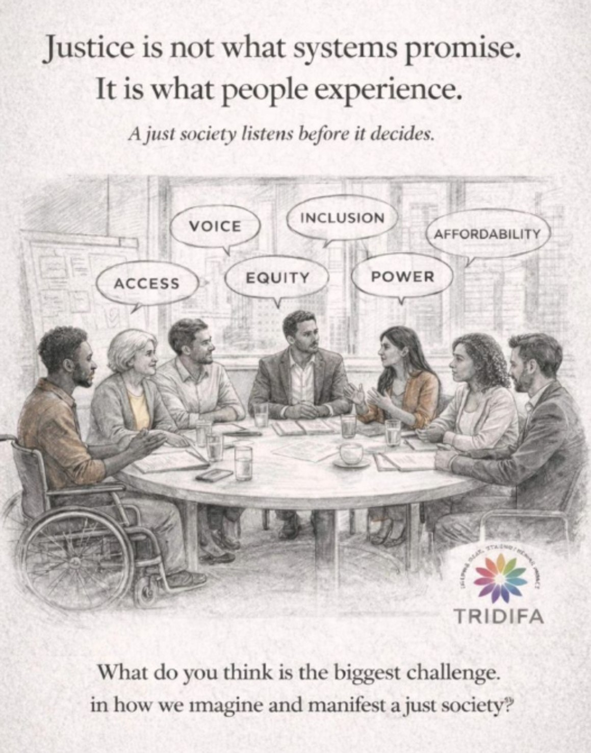 Tridifa Insight