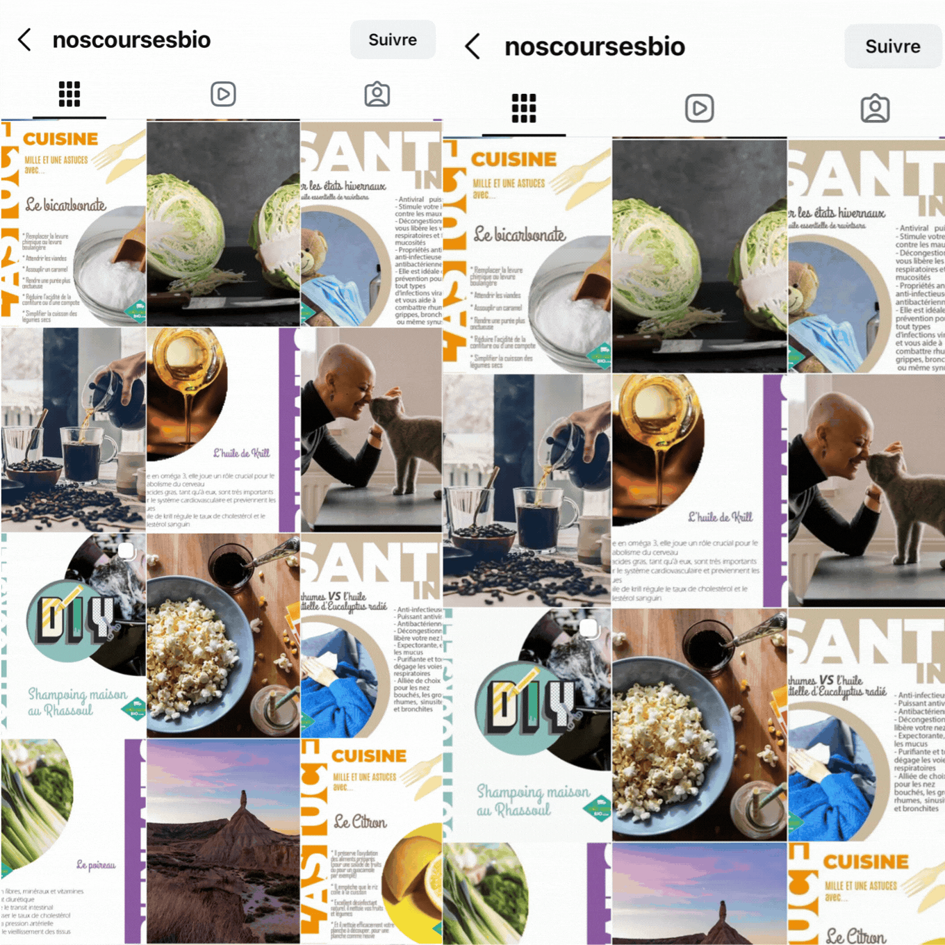 reseaux sociaux noscoursesbio