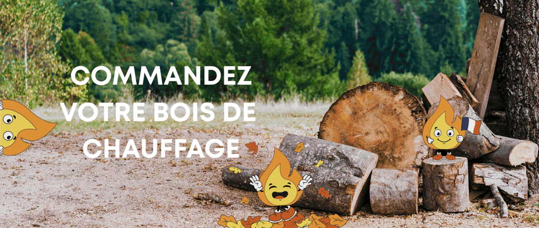 banniere-site-web-maxthomasbois