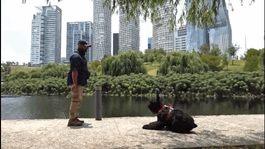 black and brown leather padded tub sofa