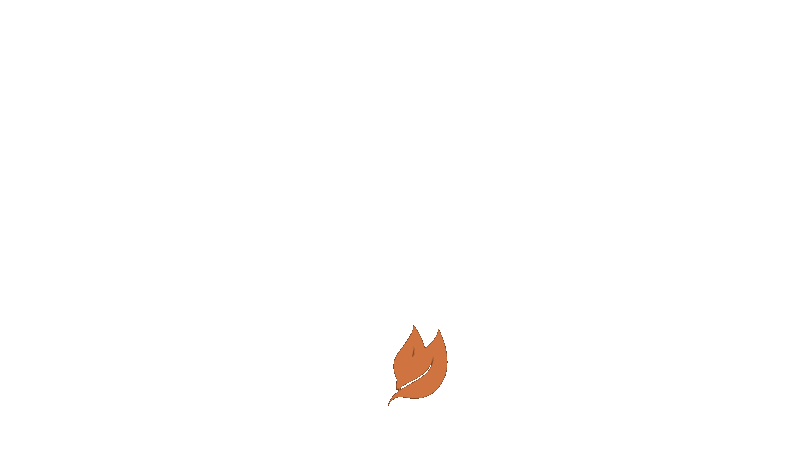 true outdooor contractor text animation