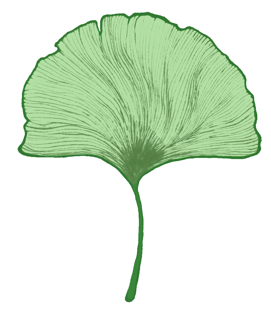 Fiore Jean Ostéopathe Psychopraticien logo