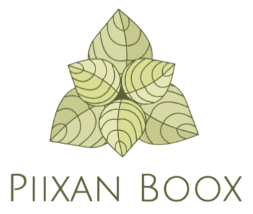 Piixan Boox logo